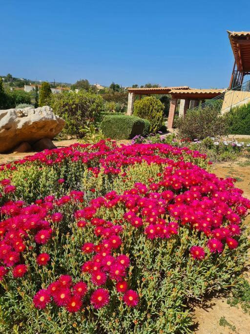 Guesthouse Petrothalassa Porto Heli Luaran gambar